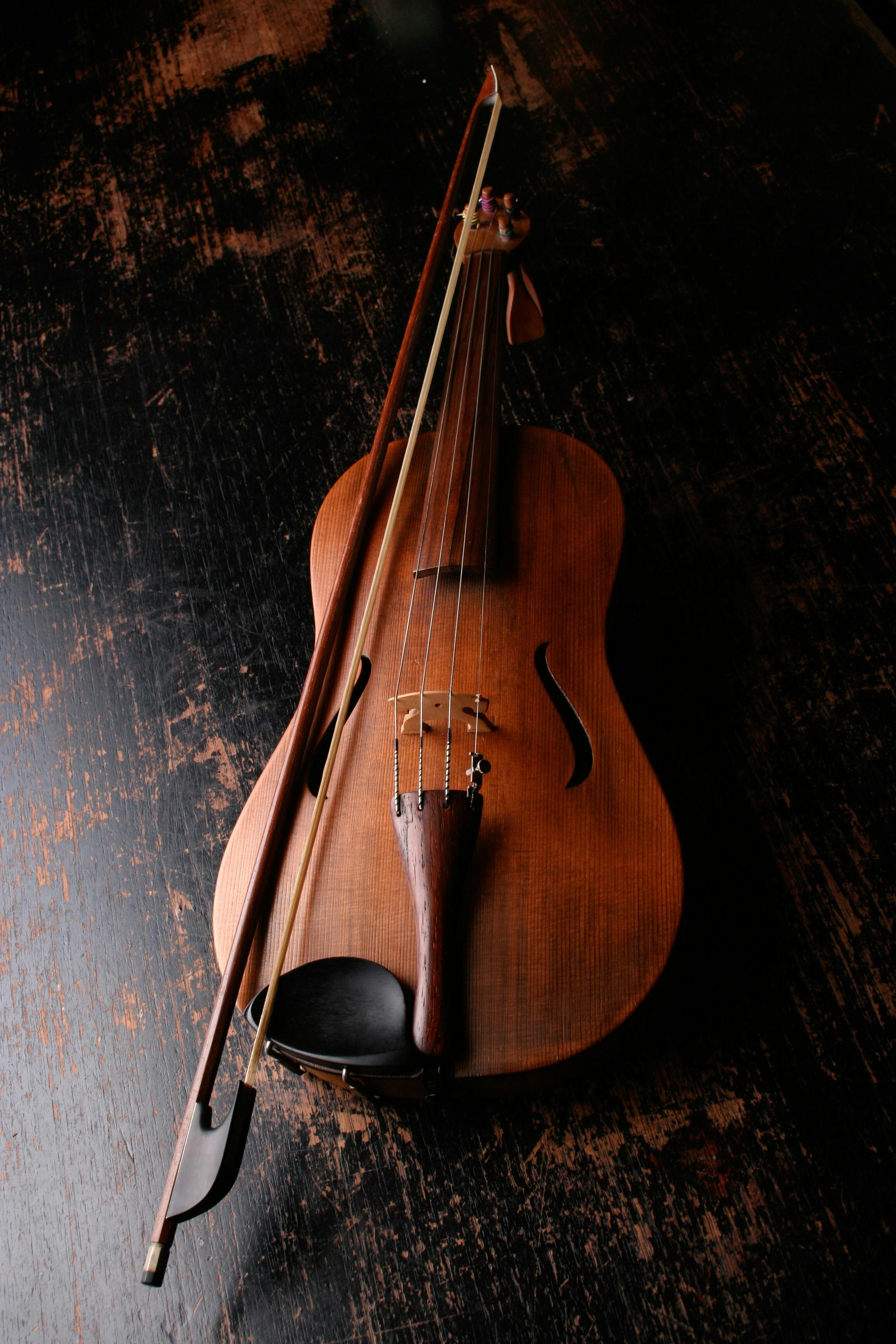 Violino